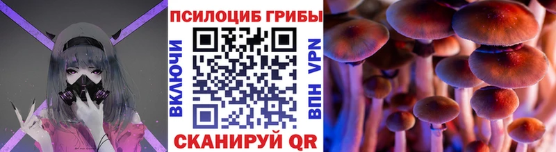 даркнет сайт Вилюйск Галлюциногенные грибы MAGIC MUSHROOMS